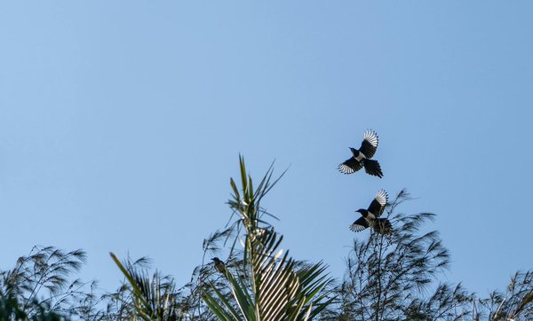 CBD et CBG, comment aident-ils à mieux dormir ?