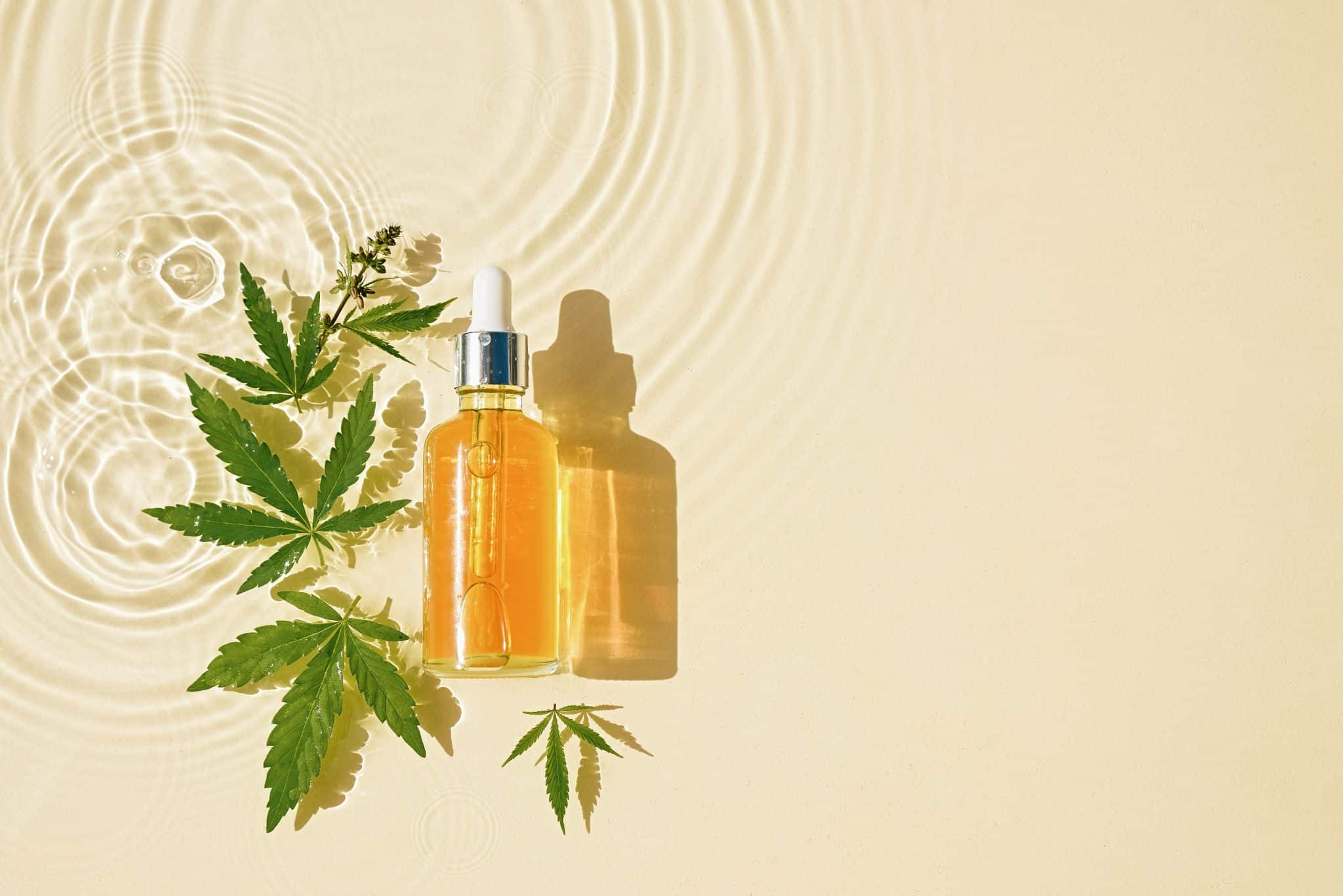 Le CBD : Tout savoir sur ses utilisations et ses bienfaits pour la santé